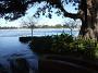 taree-flood2011 019